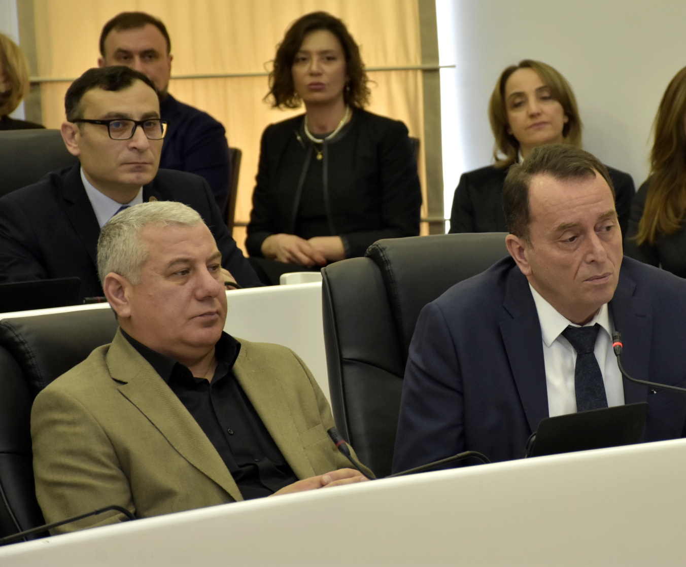 პლენარული სხდომა