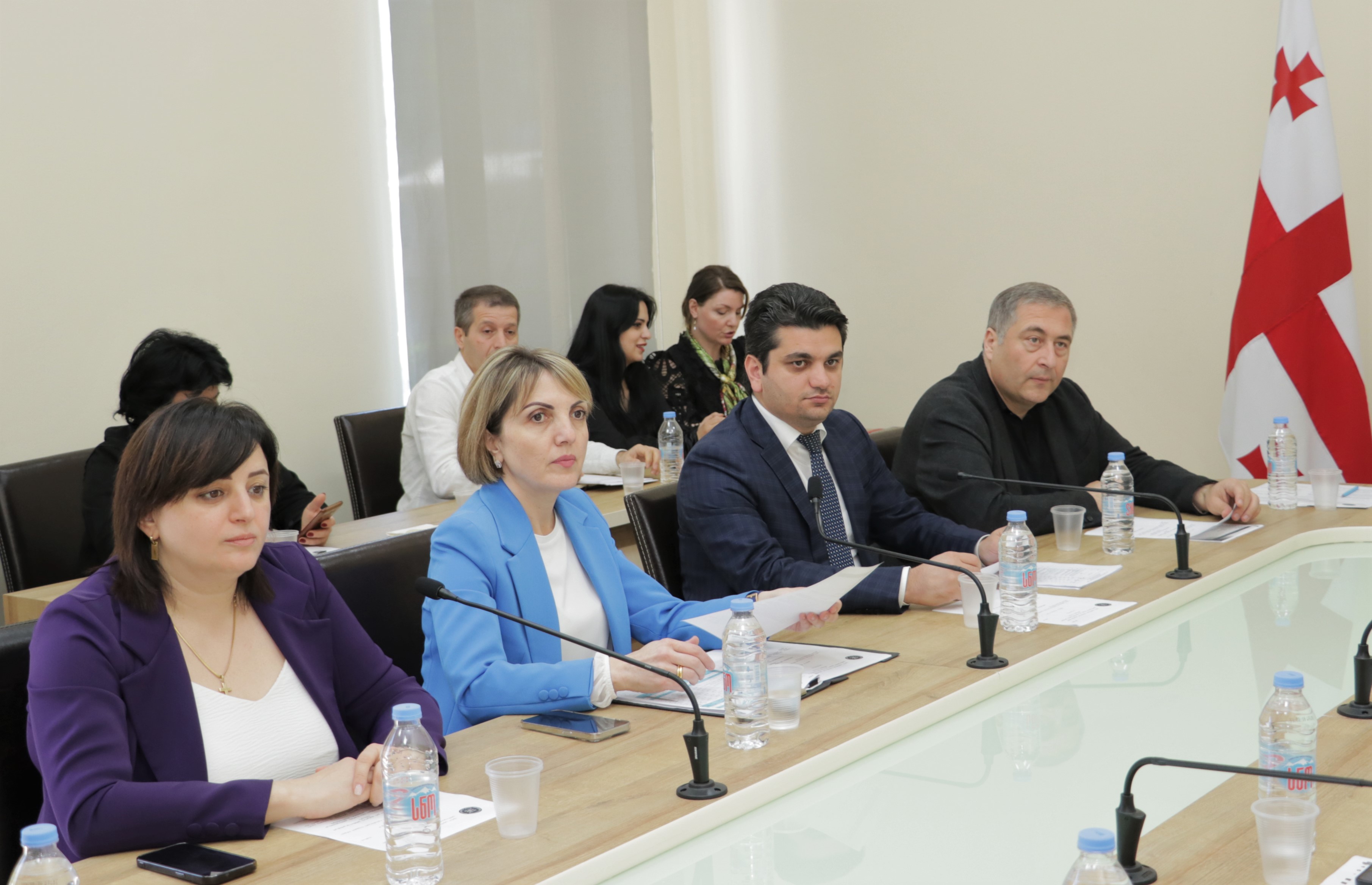 ჯანმრთელობის დაცვისა და სოციალურ საკითხთა კომიტეტის სხდომა