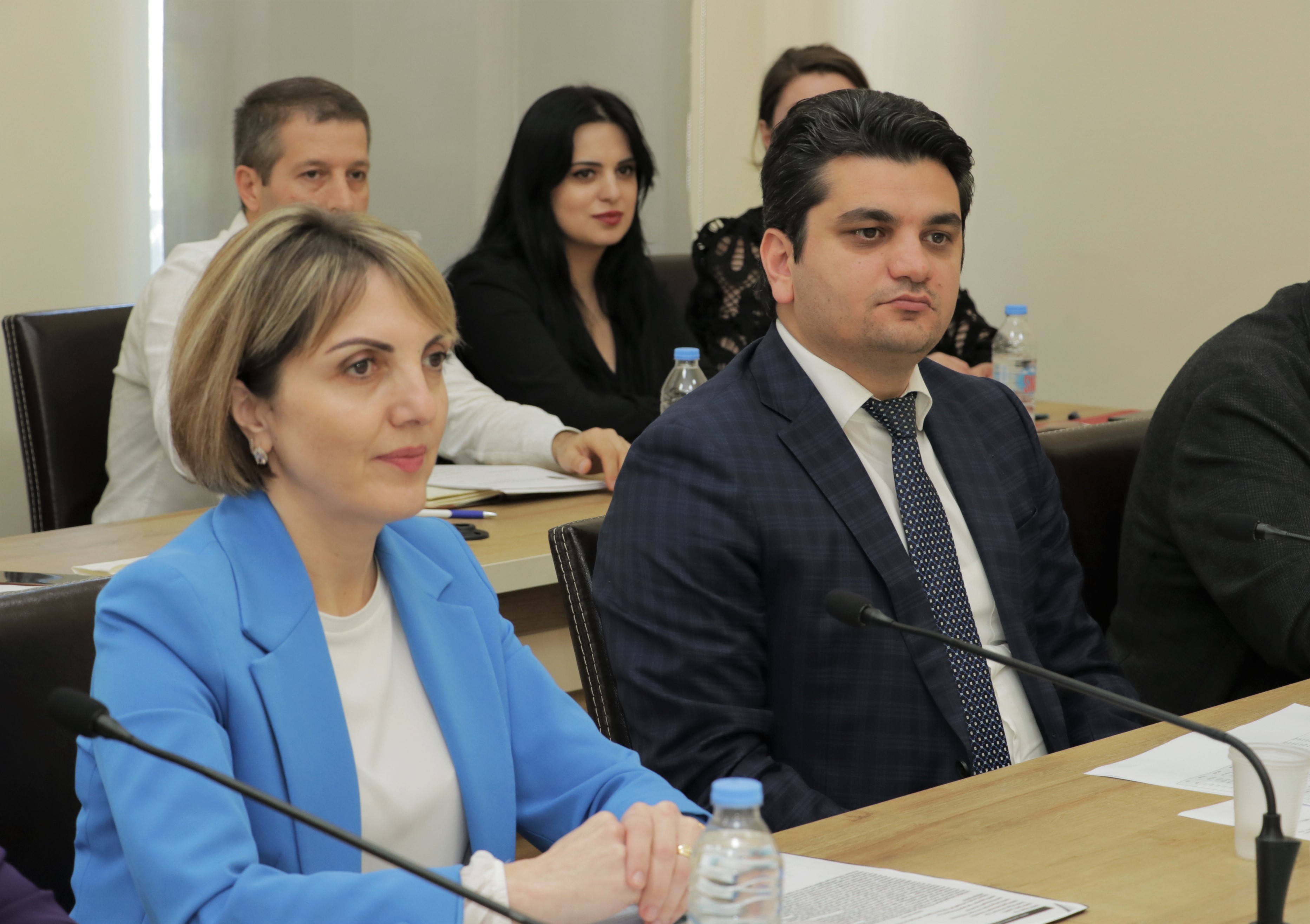 ჯანმრთელობის დაცვისა და სოციალურ საკითხთა კომიტეტის სხდომა