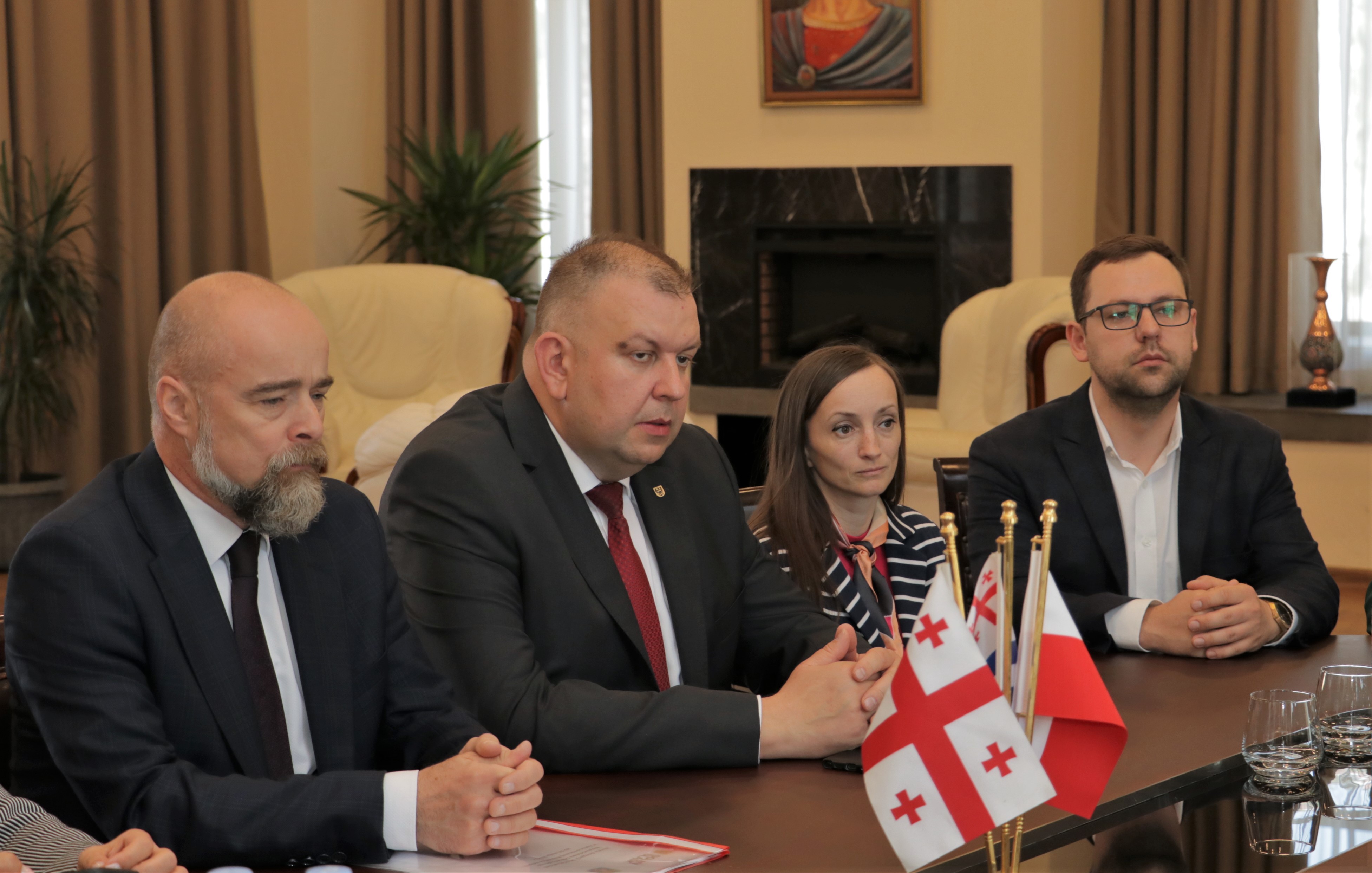 დავით გაბაიძემ ქვემო სილეზიის დელეგაციას უმასპინძლა 