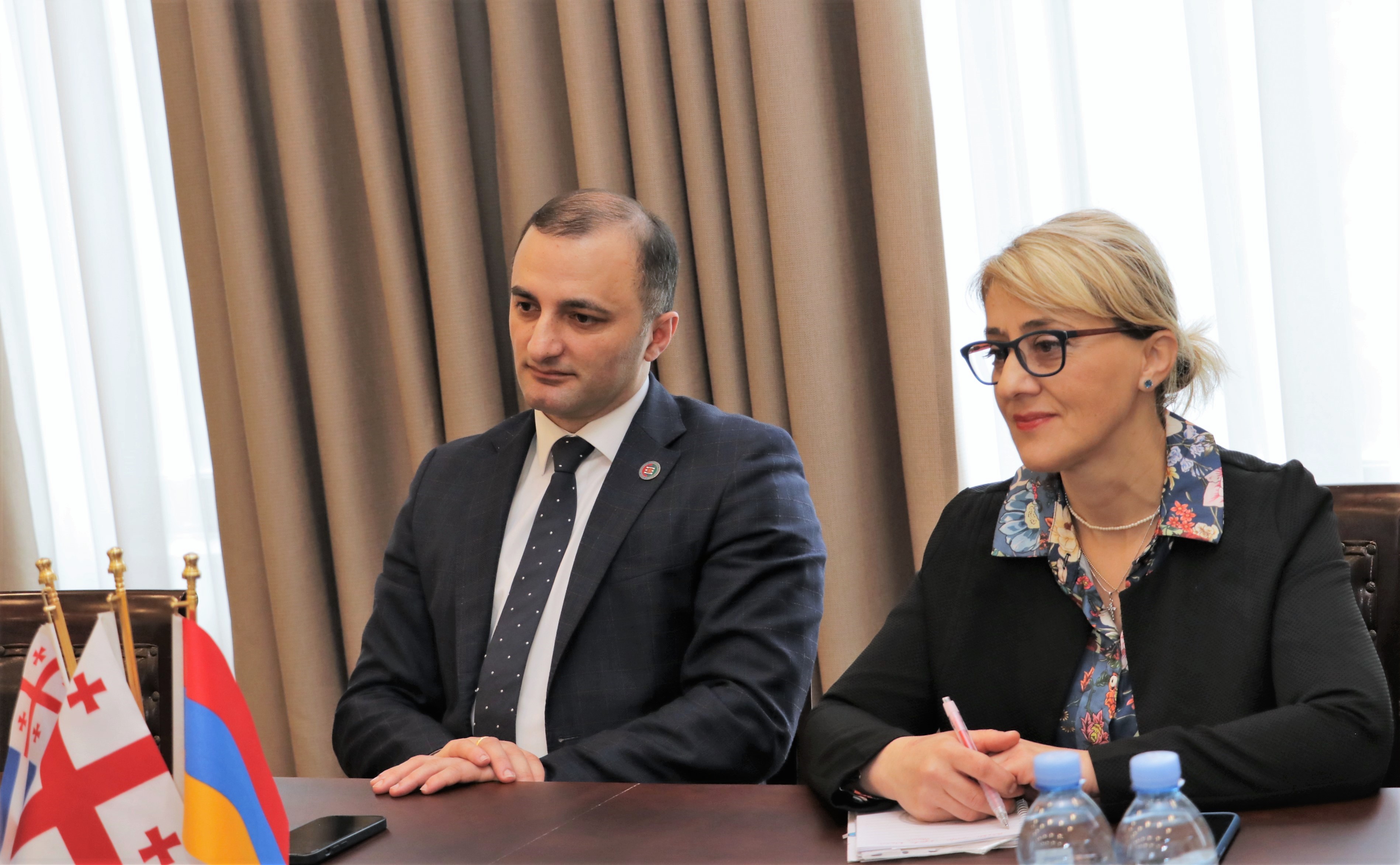 დავით გაბაიძე ქალაქ ბათუმში სომხეთის რესპუბლიკის გენერალურ კონსულს შეხვდა