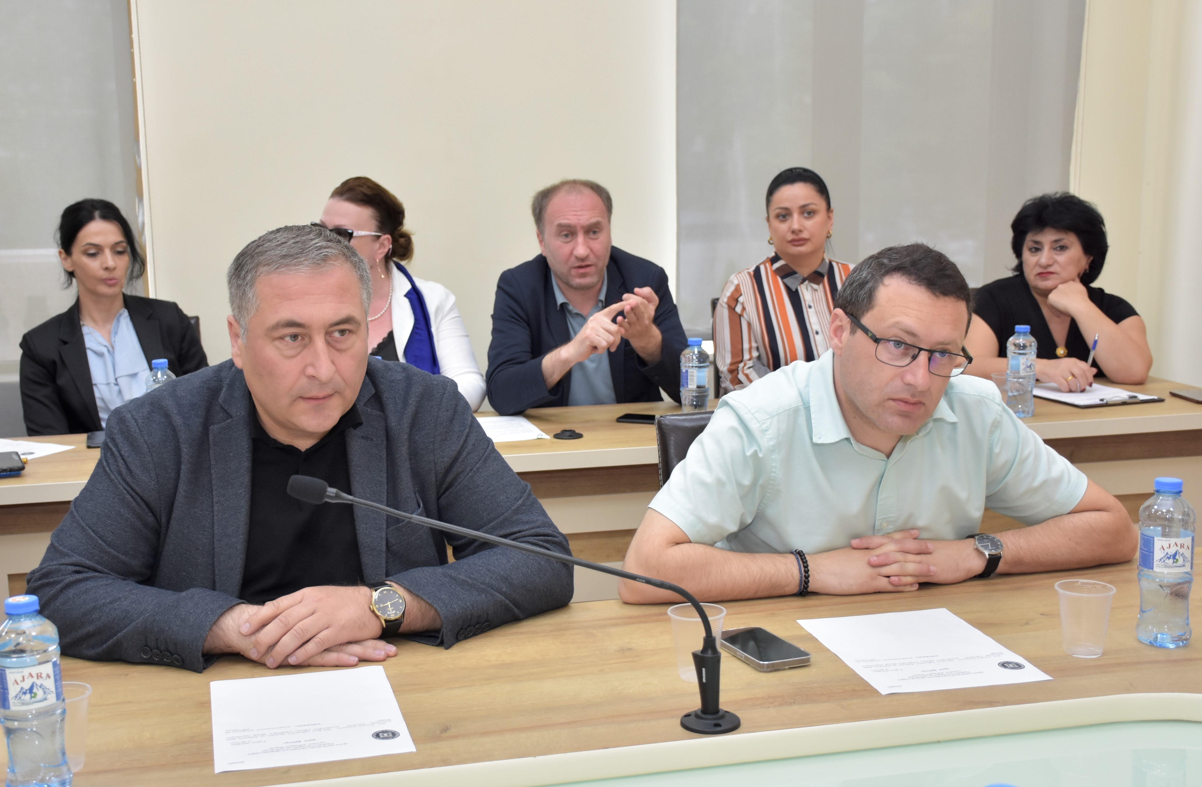 საფინანსო-საბიუჯეტო და ეკონომიკურ საკითხთა კომიტეტის სხდომაზე ,ბათუმის ბულვარის“ 2022 წლის საქმიანობის ანგარიში მოისმინეს