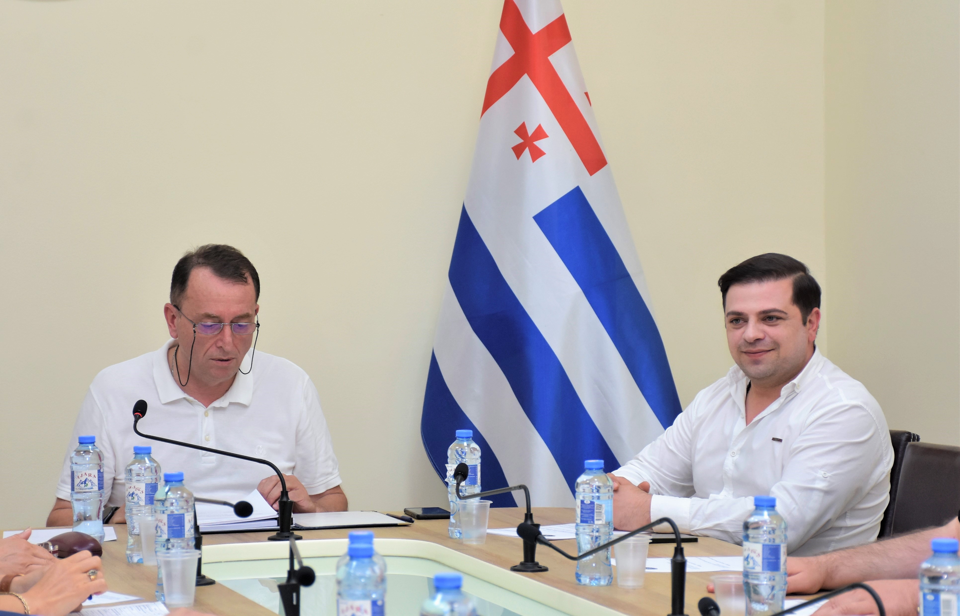 ჯანმრთელობის დაცვისა და სოციალურ საკითხთა და ადამიანის უფლებათა დაცვის საკითხთა კომიტეტების ერთობლივ სხდომა