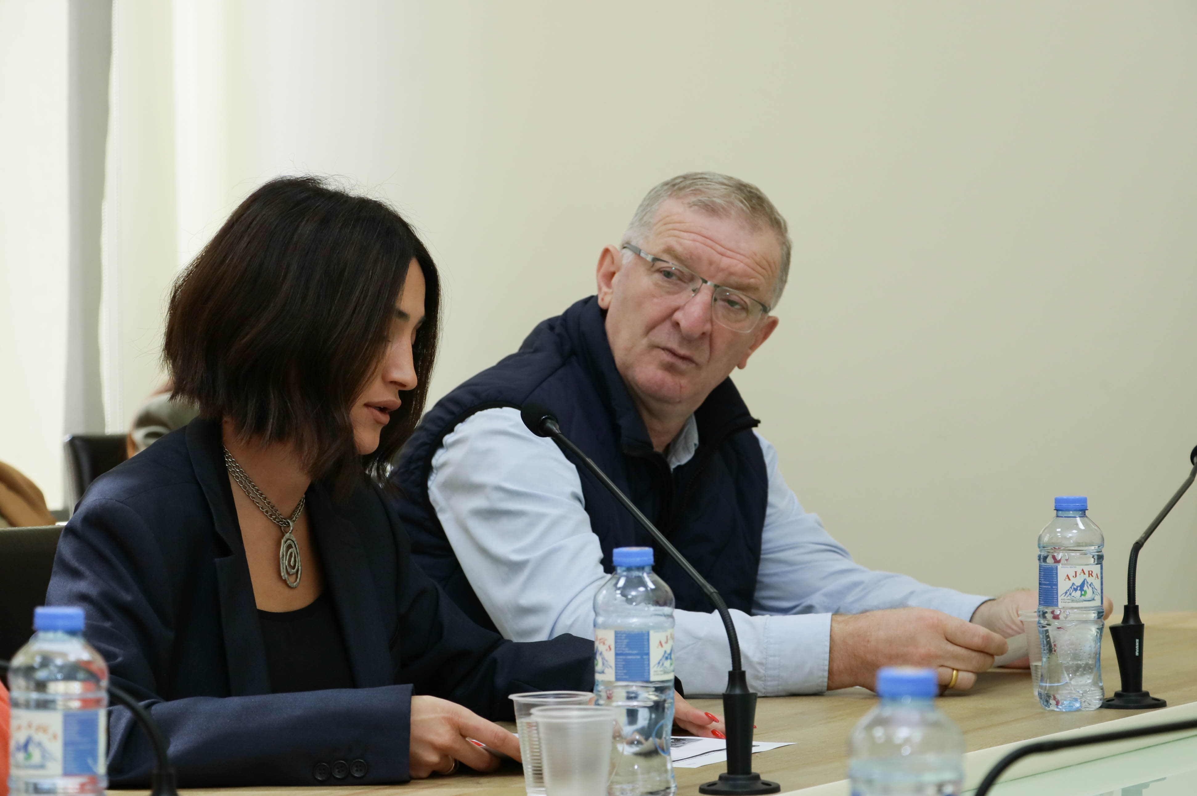 განათლების, მეცნიერების, კულტურისა და სპორტის საკითხთა კომიტეტის სხდომა