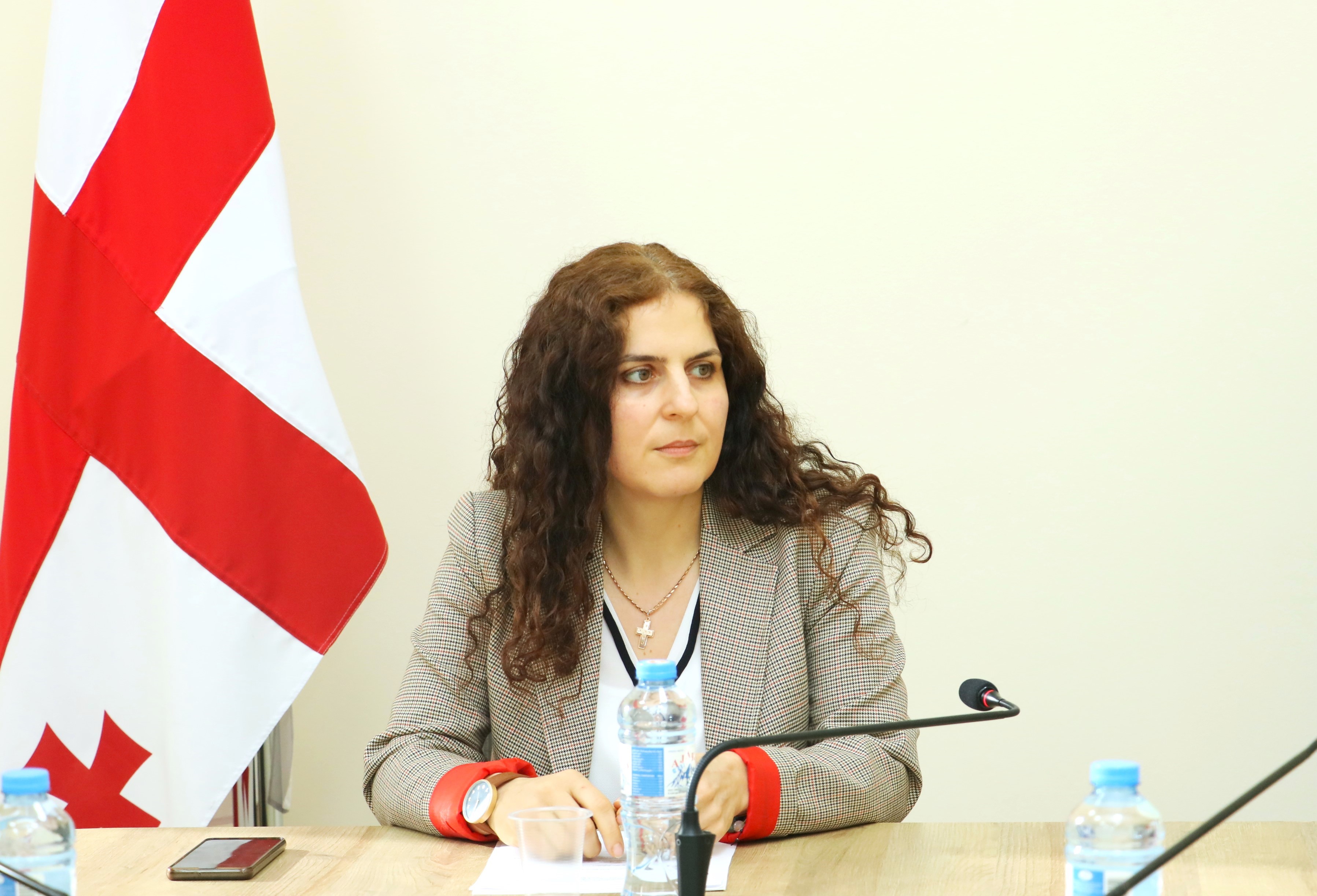 საფინანსო-საბიუჯეტო და ეკონომიკურ საკითხთა კომიტეტის სხდომა