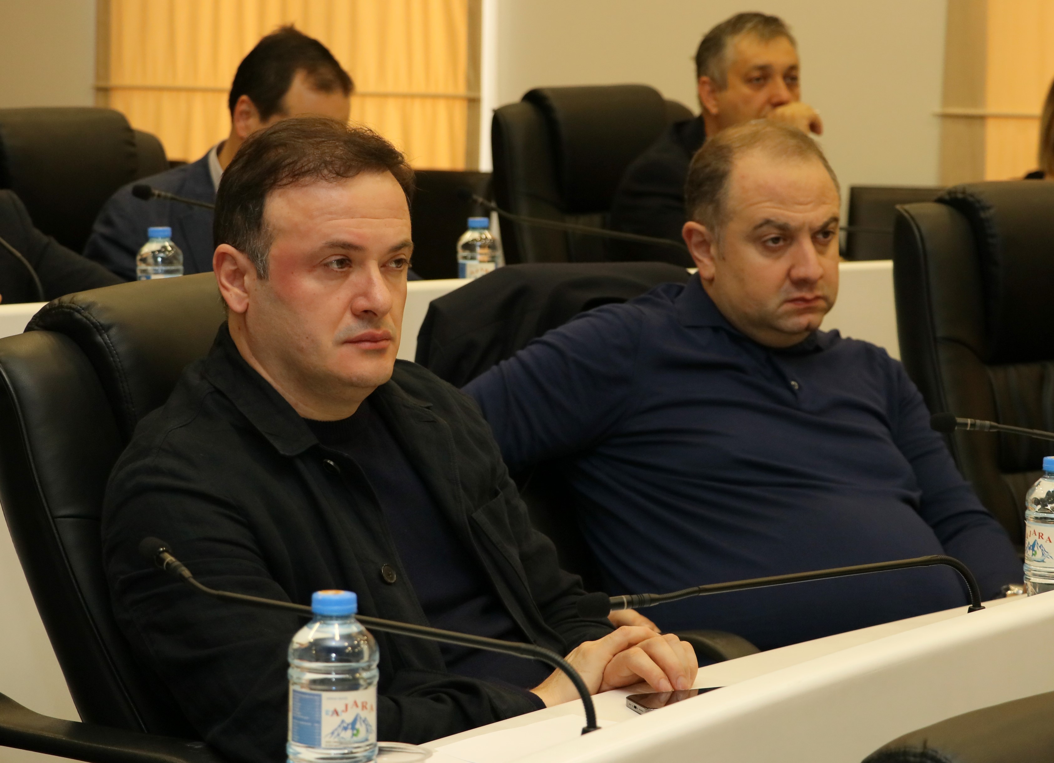 &nbsp;&nbsp;&nbsp;&nbsp; საქართველოს პარლამენტის კომიტეტის გასვლითი სხდომა უმაღლეს საბჭოში