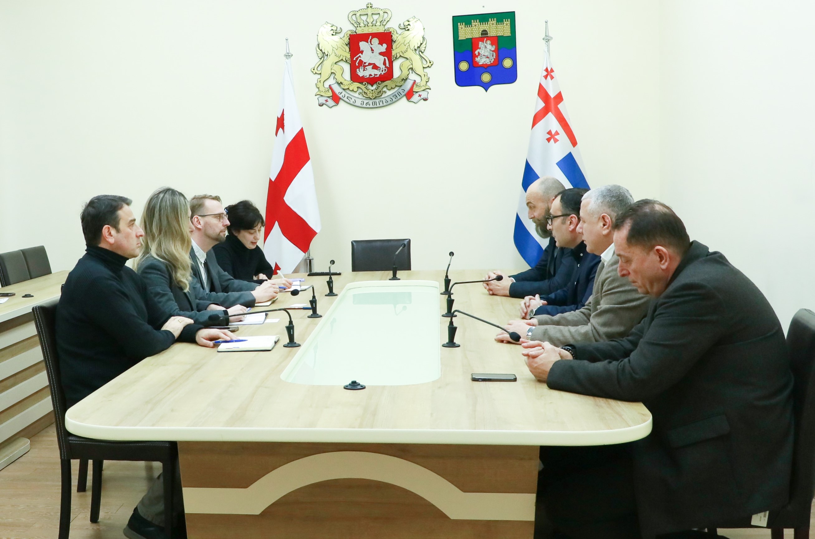 შეხვედრა “Connect Georgia-ს” წარმომადგენლებთან