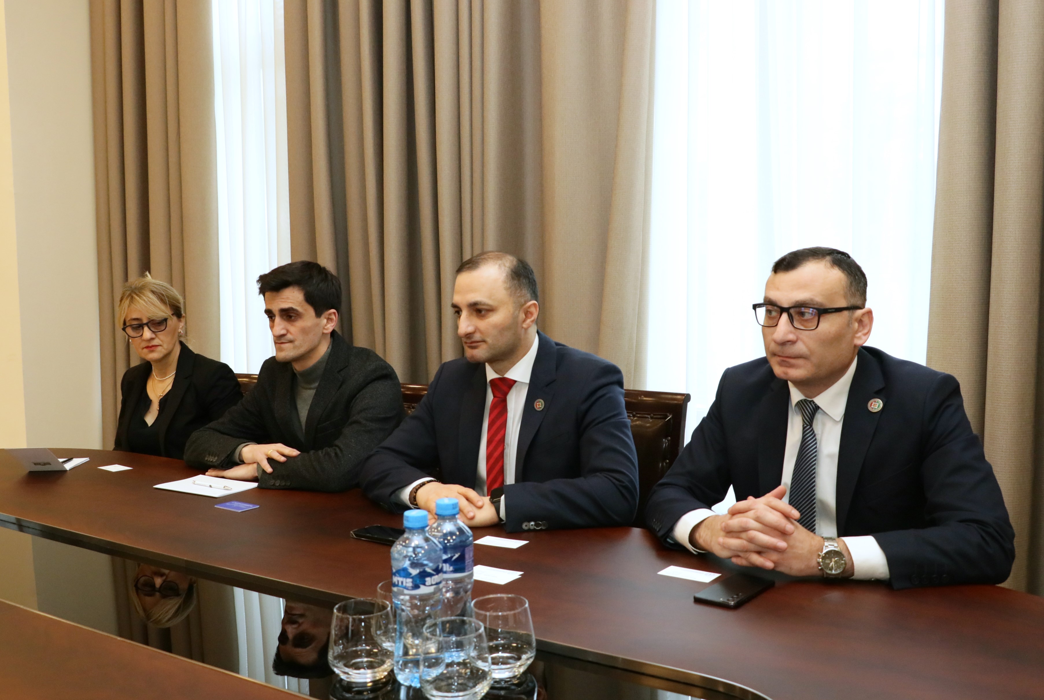 დავით გაბაიძე და ტიტე აროშიძე საარჩევნო სისტემების საერთაშორისო ფონდის (IFES) წარმომადგენლებს შეხვდნენ