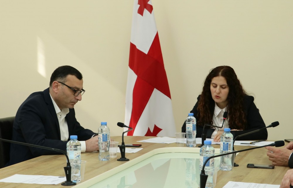 საფინანსო-საბიუჯეტო და ეკონომიკურ საკითხთა კომიტეტის სხდომა