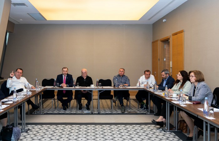 სამუშაო შეხვედრა თემატური მოკვლევის საკითხებზე