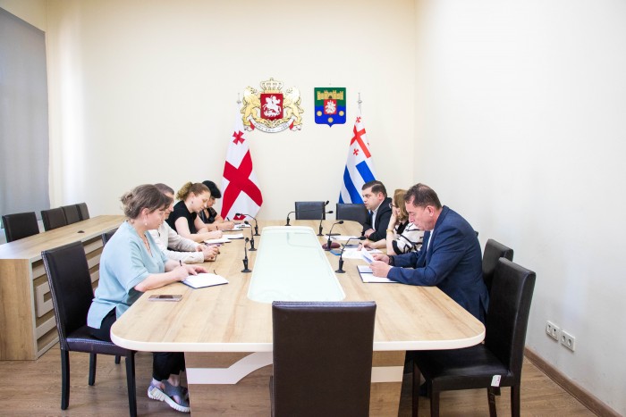 კომიტეტების სამუშაო შეხვედრა