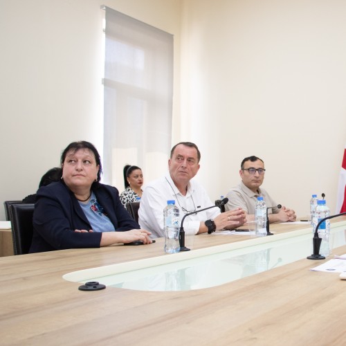 საფინანსო-საბიუჯეტო და ეკონომიკურ საკითხთა კომიტეტის სხდომა