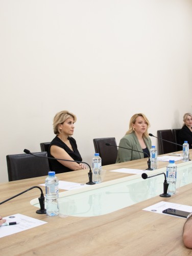 საფინანსო-საბიუჯეტო და ეკონომიკურ საკითხთა კომიტეტის სხდომა