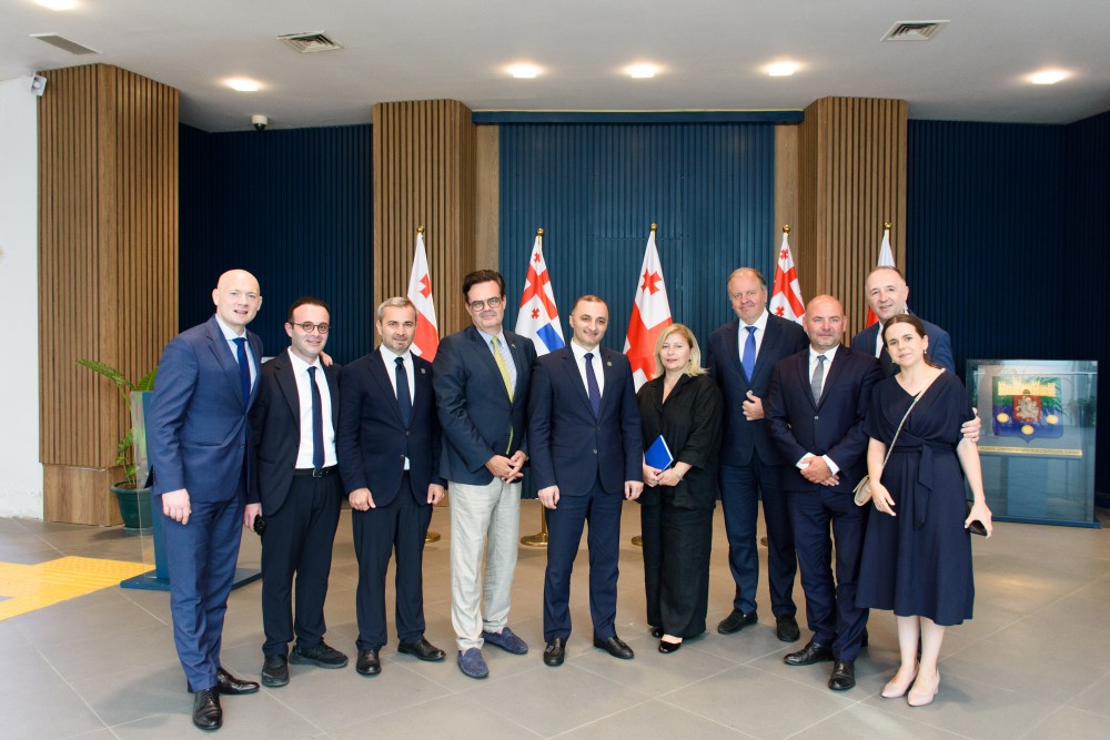 დავით გაბაიძე ქვემო სილეზიის სავოევოდოს დედაქალაქის - ვროცლავის საკრებულოს წევრებს შეხვდა