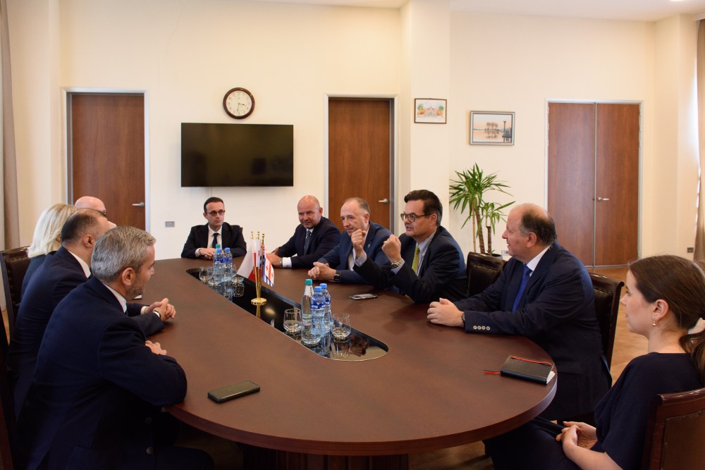 დავით გაბაიძე ქვემო სილეზიის სავოევოდოს დედაქალაქის - ვროცლავის საკრებულოს წევრებს შეხვდა