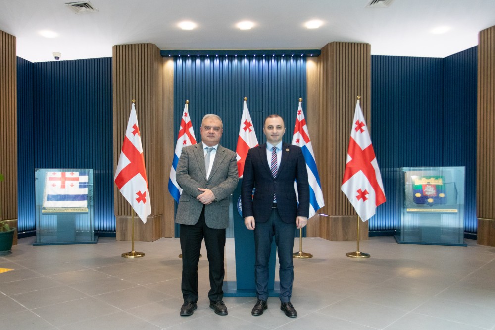 დავით გაბაიძემ აზერბაიჯანის გენერალურ კონსულს უმასპინძლა