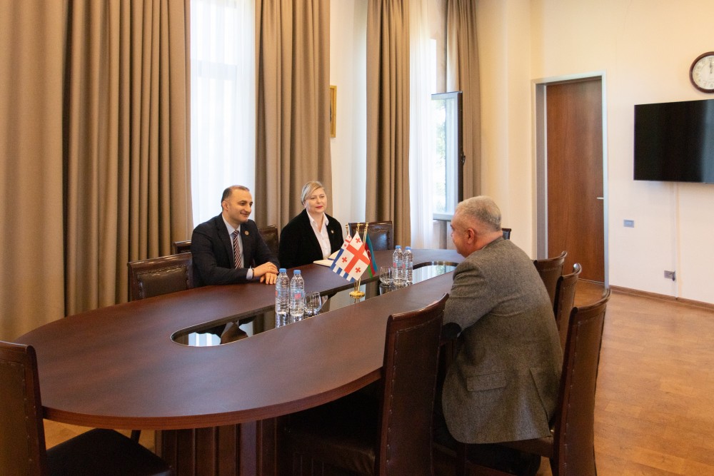 დავით გაბაიძემ აზერბაიჯანის გენერალურ კონსულს უმასპინძლა