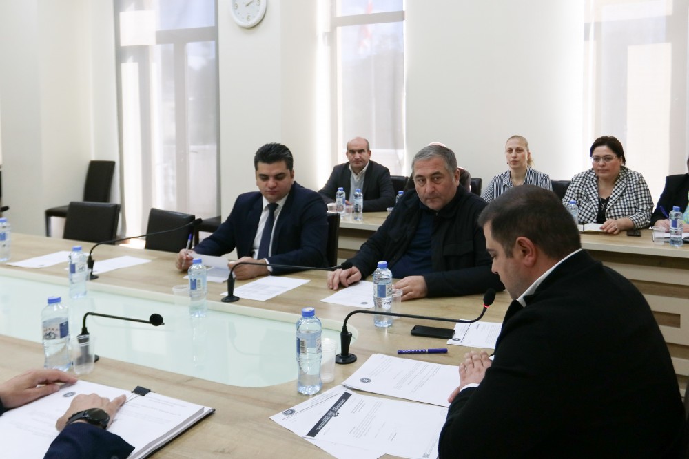 ჯანმრთელობის დაცვისა და სოციალურ საკითხთა და ადამიანის უფლებათა დაცვის საკითხთა კომიტეტების ერთობლივი სხდომა