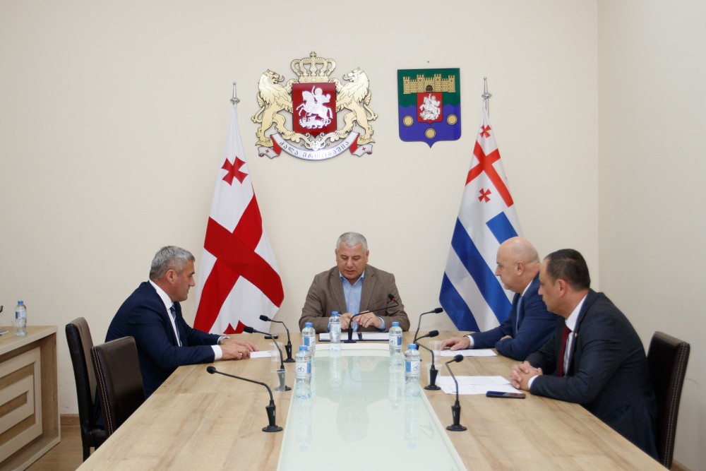 ახალარჩეული უმაღლესი საბჭოს კომიტეტების პირველ სხდომებზე ამავე კომიტეტების დებულებებზე იმსჯელეს 