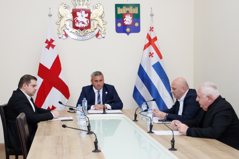 ახალარჩეული უმაღლესი საბჭოს კომიტეტების პირველ სხდომებზე ამავე კომიტეტების დებულებებზე იმსჯელეს 