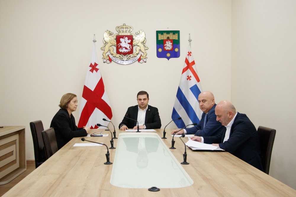 ახალარჩეული უმაღლესი საბჭოს კომიტეტების პირველ სხდომებზე ამავე კომიტეტების დებულებებზე იმსჯელეს 