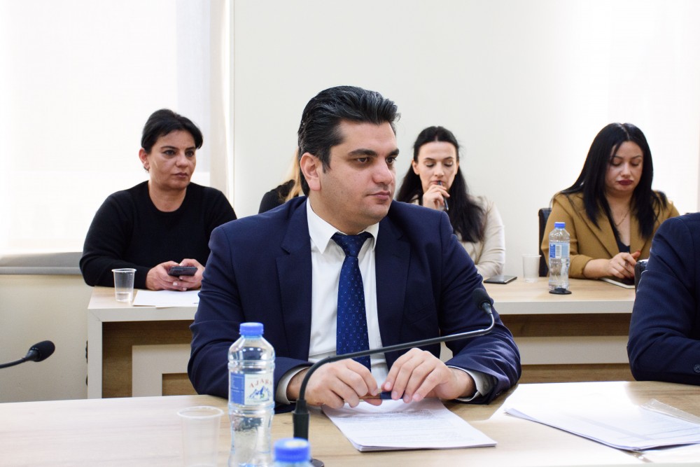 საფინანსო-საბიუჯეტო და ეკონომიკურ საკითხთა კომიტეტის სხდომა