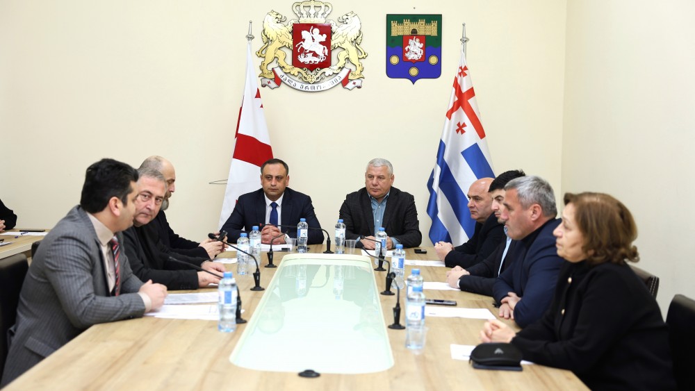 საკონსტიტუციო, იურიდიულ და საპროცედურო საკითხთა და აგრარულ და გარემოს დაცვის საკითხთა კომიტეტების ერთობლივი სხდომა