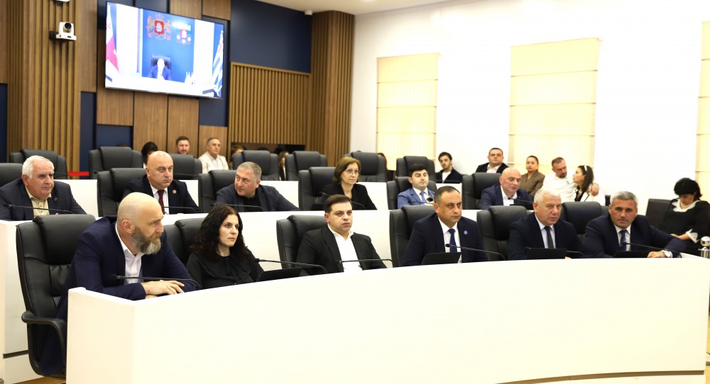 უმაღლეს საბჭოში მინი