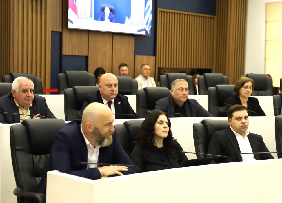 უმაღლეს საბჭოში მინი