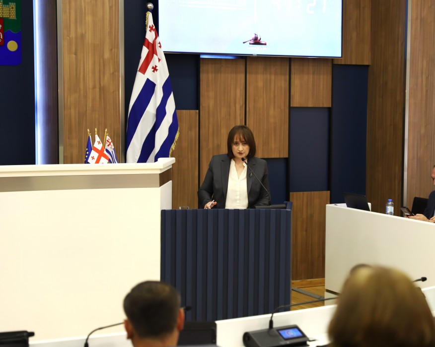 უმაღლეს საბჭოში მინი