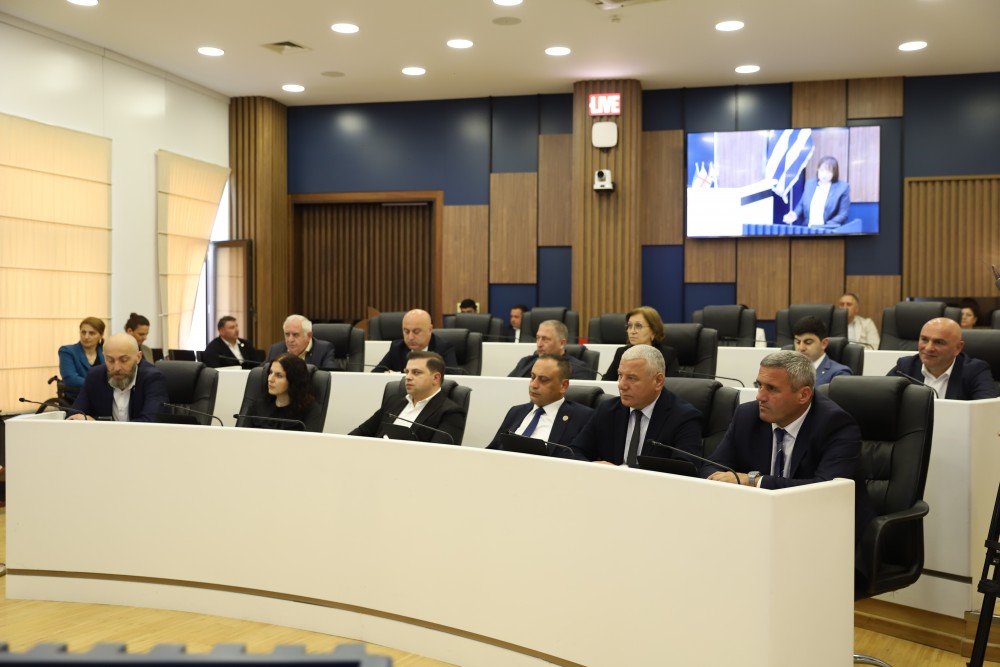 უმაღლეს საბჭოში მინი