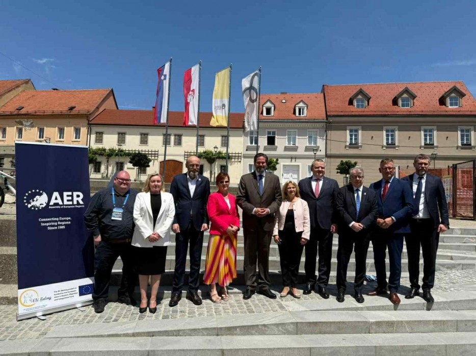 დავით ბაციკაძე, მეორე ვადით, ევროპის რეგიონთა ასამბლეის (AER, ერა) ვიცე-პრეზიდენტია