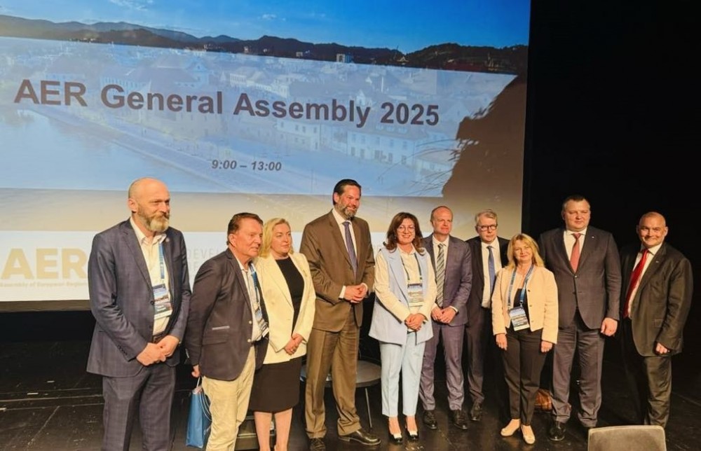 დავით ბაციკაძე, მეორე ვადით, ევროპის რეგიონთა ასამბლეის (AER, ერა) ვიცე-პრეზიდენტია