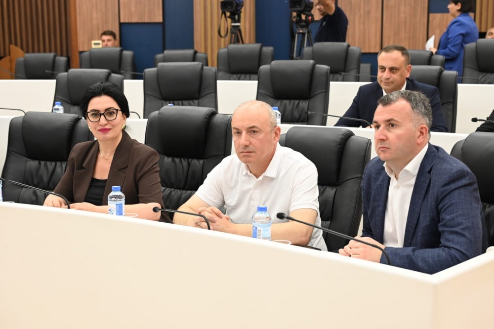 საქართველოს პარლამენტის საპროცედურო საკითხთა და წესების კომიტეტის გასვლითი სხდომა აჭარის უმაღლეს საბჭოში