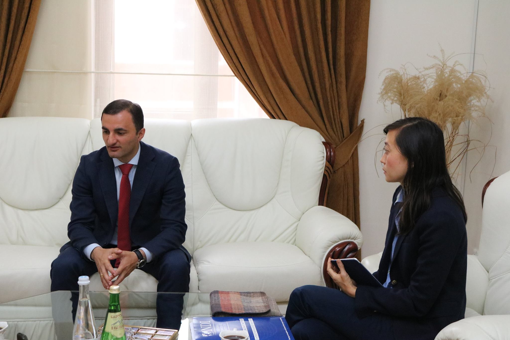 დავით გაბაიძე სადამკვირვებლო მისიის წარმომადგენლებს შეხვდა