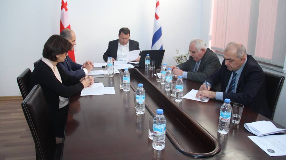 კომისიამ ორი საკითხი განიხილა