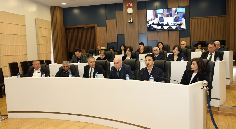 პარლამენტის ჯანმრთელობის დაცვისა და სოციალურ საკითხთა კომიტეტის გასვლითი სხდომა აჭარის უმაღლეს საბჭოში