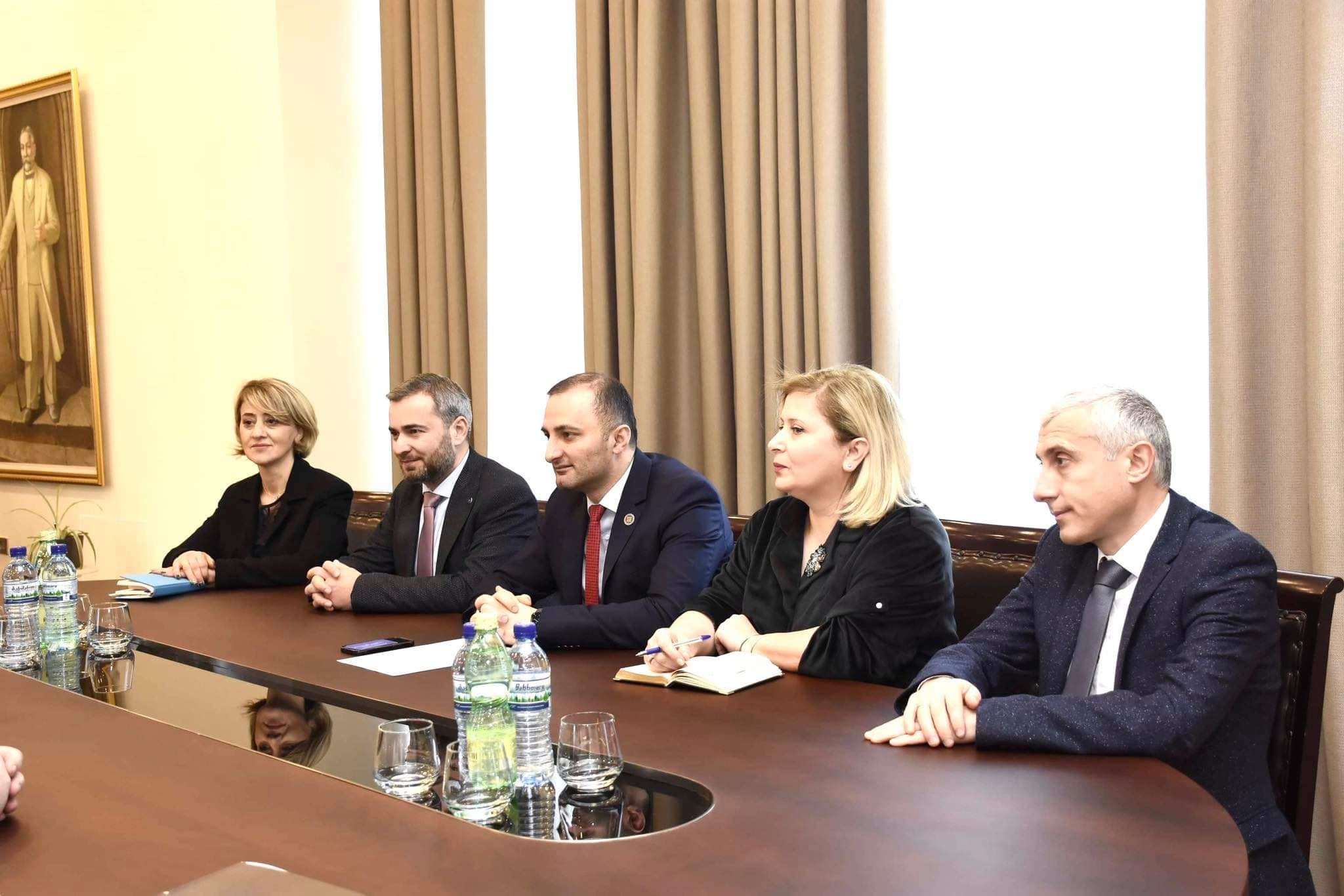 დავით გაბაიძე ტულჩის რეგიონული საბჭოს წარმომადგენლებს შეხვდა