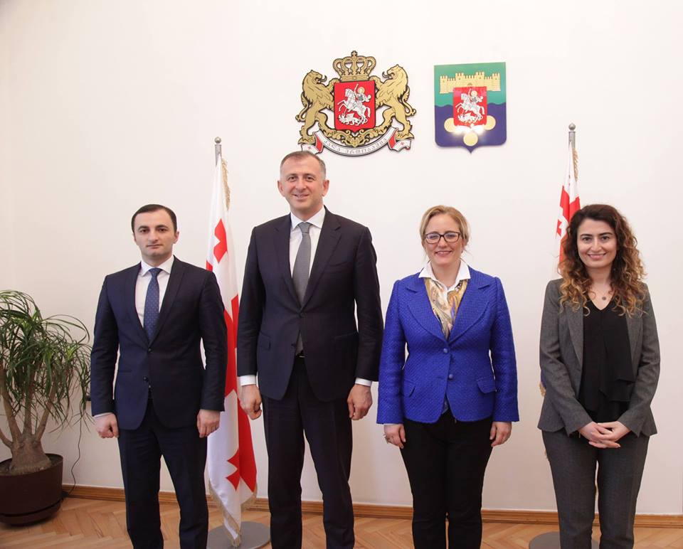 შეხვედრა თურქეთის ელჩთან