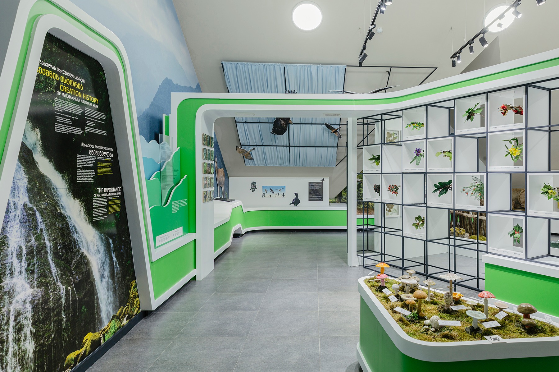 მაჭახელას ეროვნული პარკის ვიზიტორთა ცენტრში ახალი საგამოფენო დარბაზი გაიხსნა