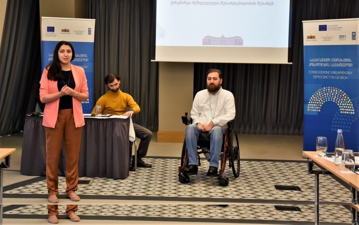 საინფორმაციო-შემეცნებითი ხასიათის შეხვედრა უმაღლესი საბჭოს აპარატის თანამშრომლებსა და ახალგაზრდული ორგანიზაციებს შორის