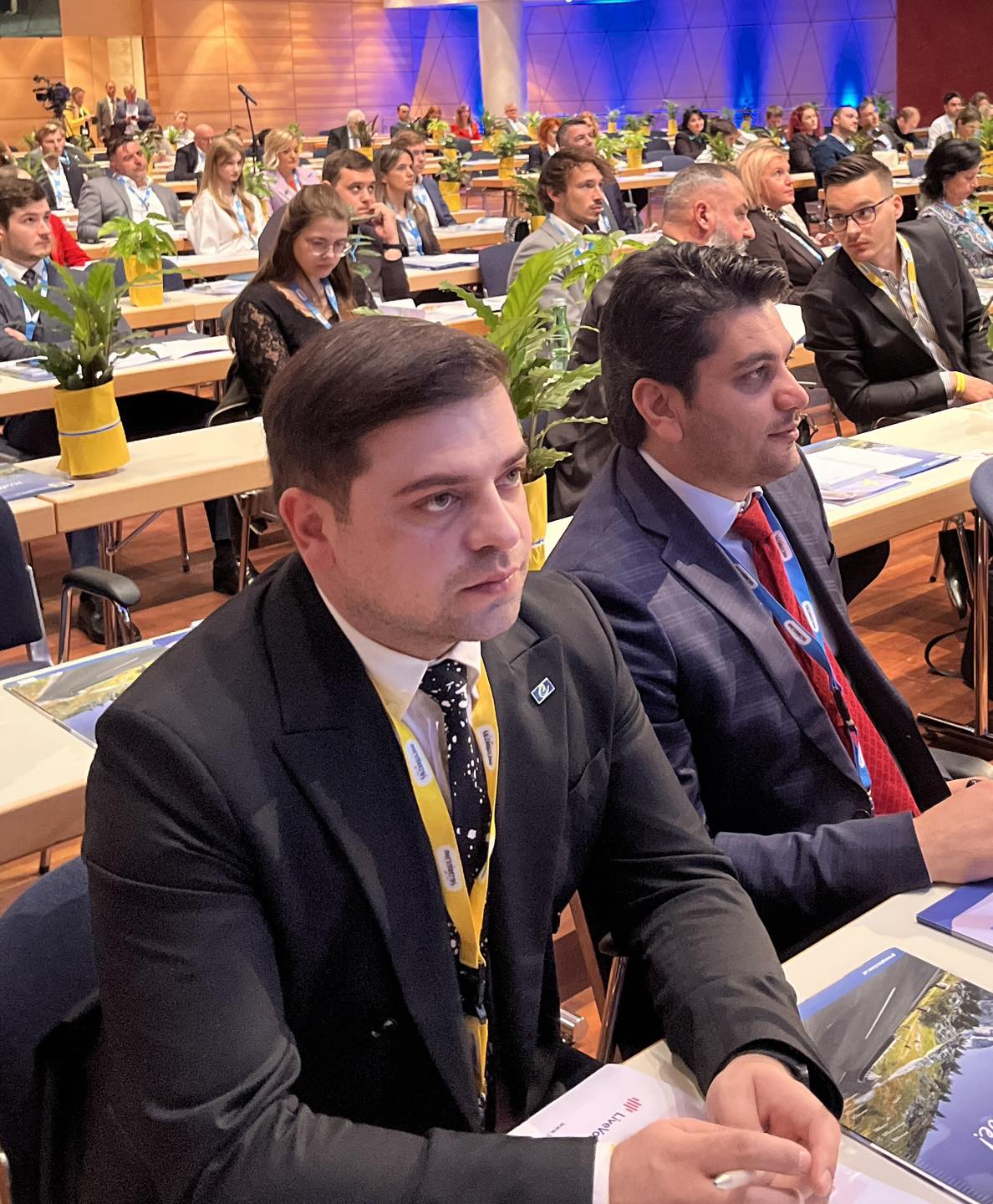 დავით გაბაიძე ევროპის რეგიონთა ინსტიტუტის სამიტზე პრეზენტაციით წარსდგა