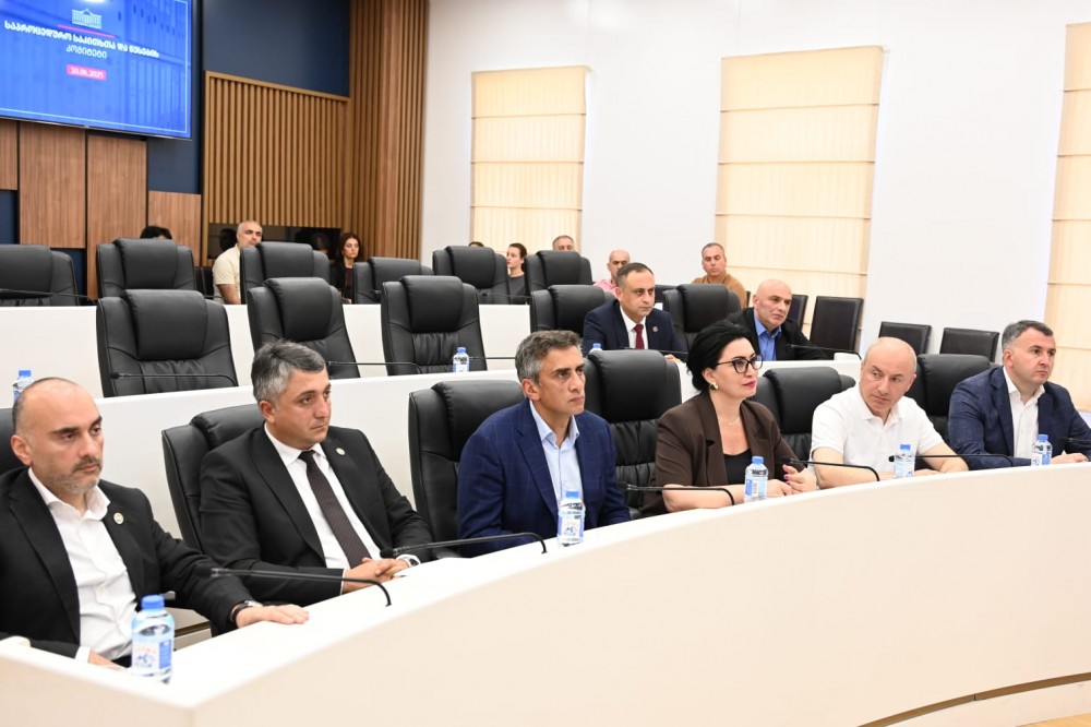 საქართველოს პარლამენტის საპროცედურო საკითხთა და წესების კომიტეტის გასვლითი სხდომა აჭარის უმაღლეს საბჭოში