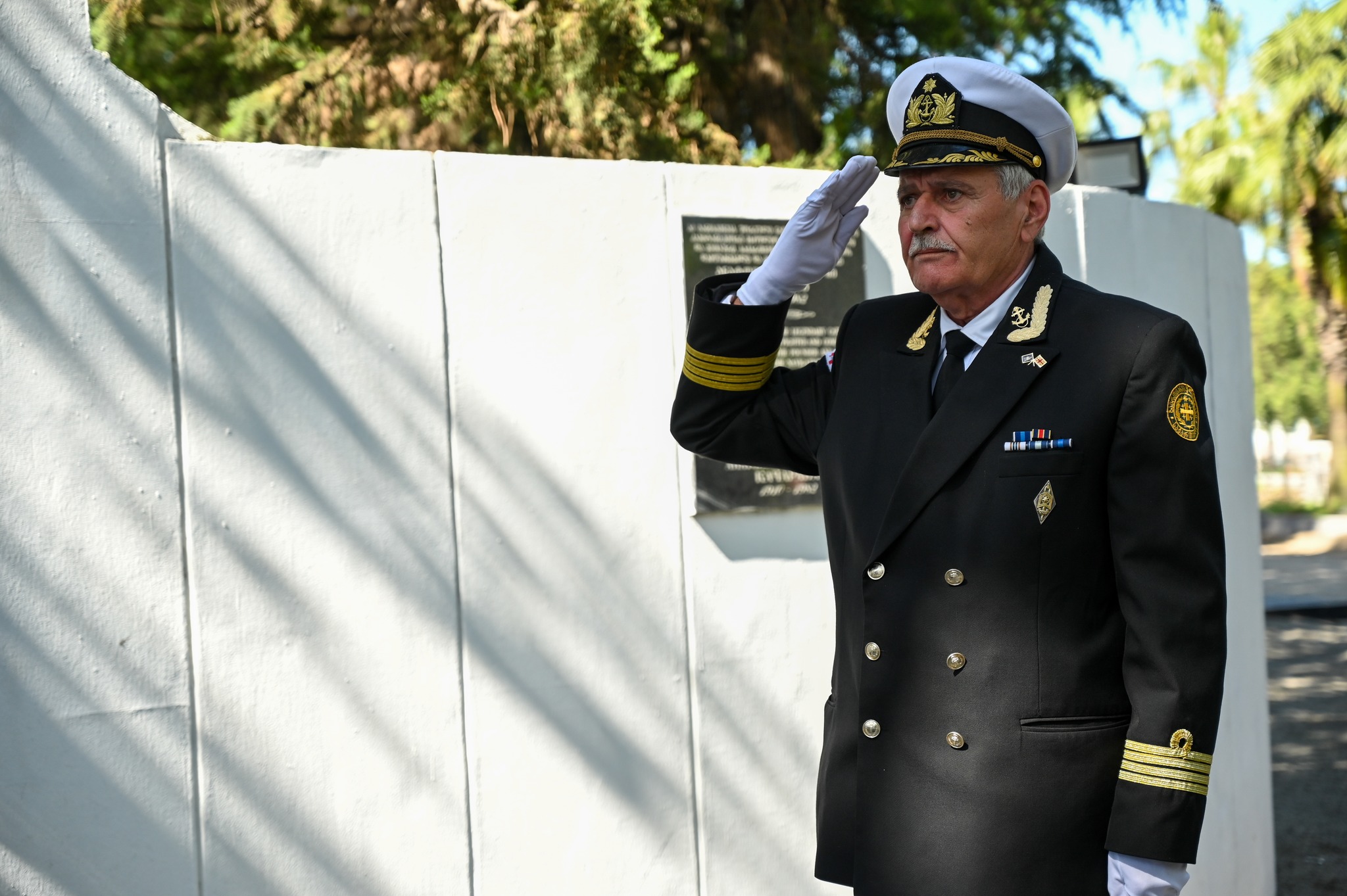 ფაშიზმზე გამარჯვების 80 წლისთავი