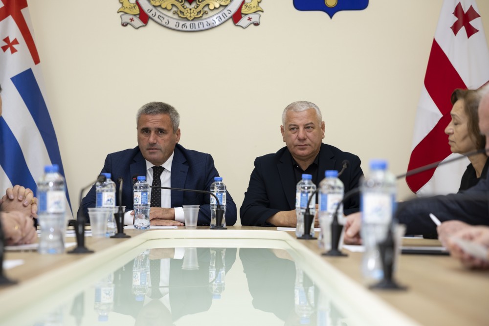 კომიტეტებმა ორი კვარტლის შესრულების  ანგარიში ცნობად მიიღეს