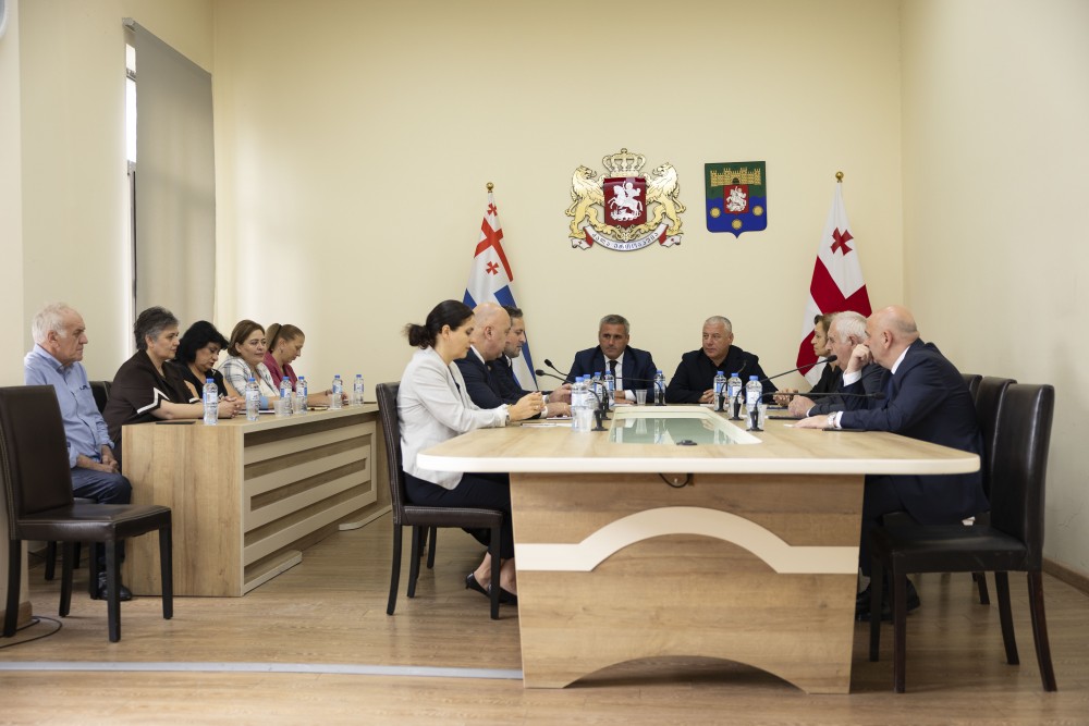 კომიტეტებმა ორი კვარტლის შესრულების  ანგარიში ცნობად მიიღეს