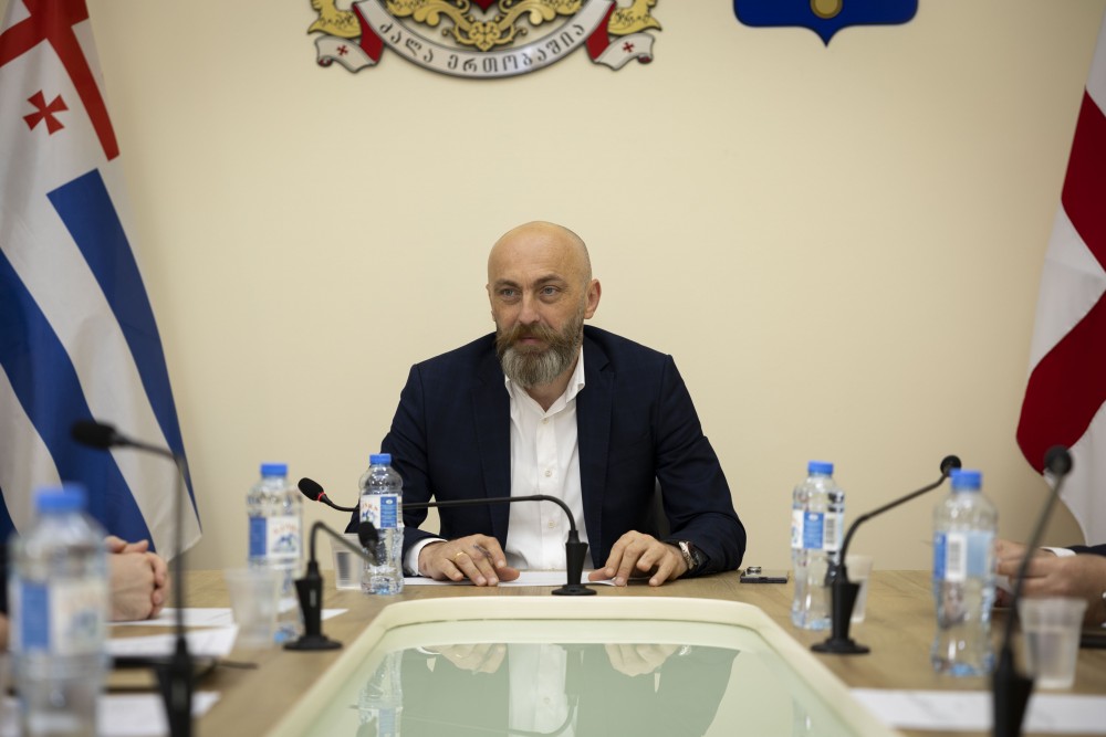 განათლების, მეცნიერების, კულტურისა და სპორტის საკითხთა კომიტეტის სხდომა