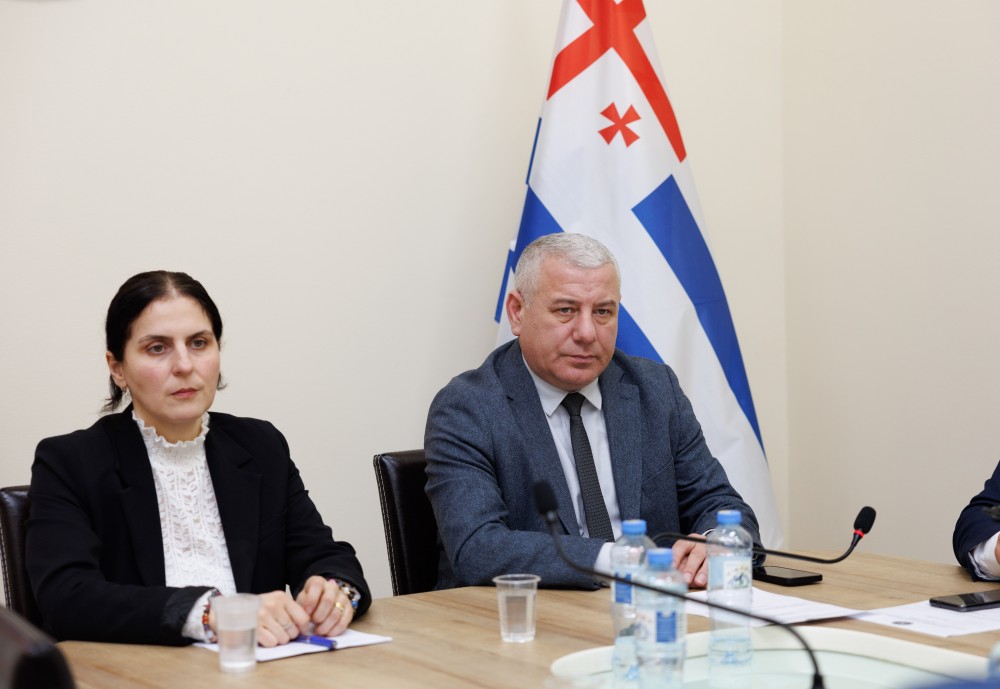 კომიტეტებში აჭარის მთავრობის თავმჯდომარისა და მინისტრობის კანდიდატებს მოუსმინეს