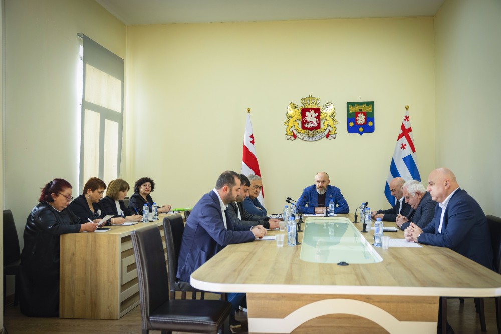 განათლების, მეცნიერების, კულტურისა და სპორტის საკითხთა კომიტეტის სხდომა