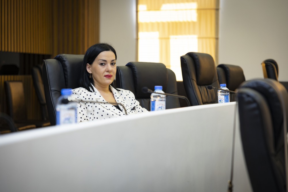 ჯანმრთელობის დაცვისა და სოციალურ საკითხთა კომიტეტთან არსებული სამეცნიერო-საკონსულტაციო საბჭოს სხდომა